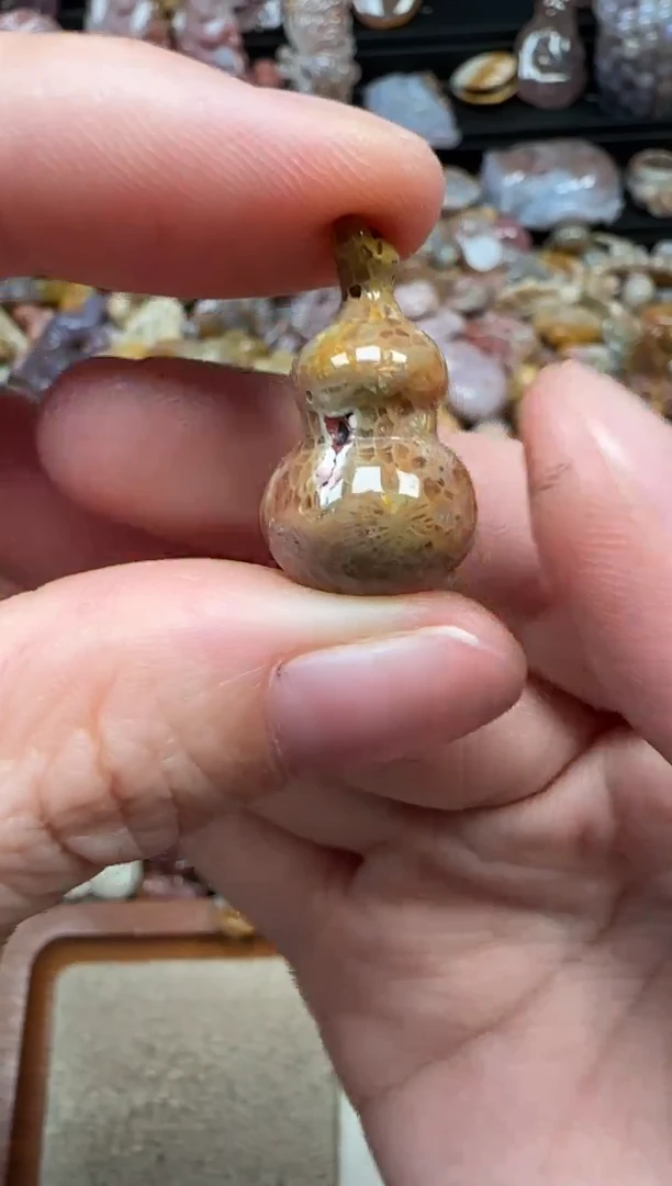 颈饰未镶嵌硅化珊瑚（珊瑚玉）850