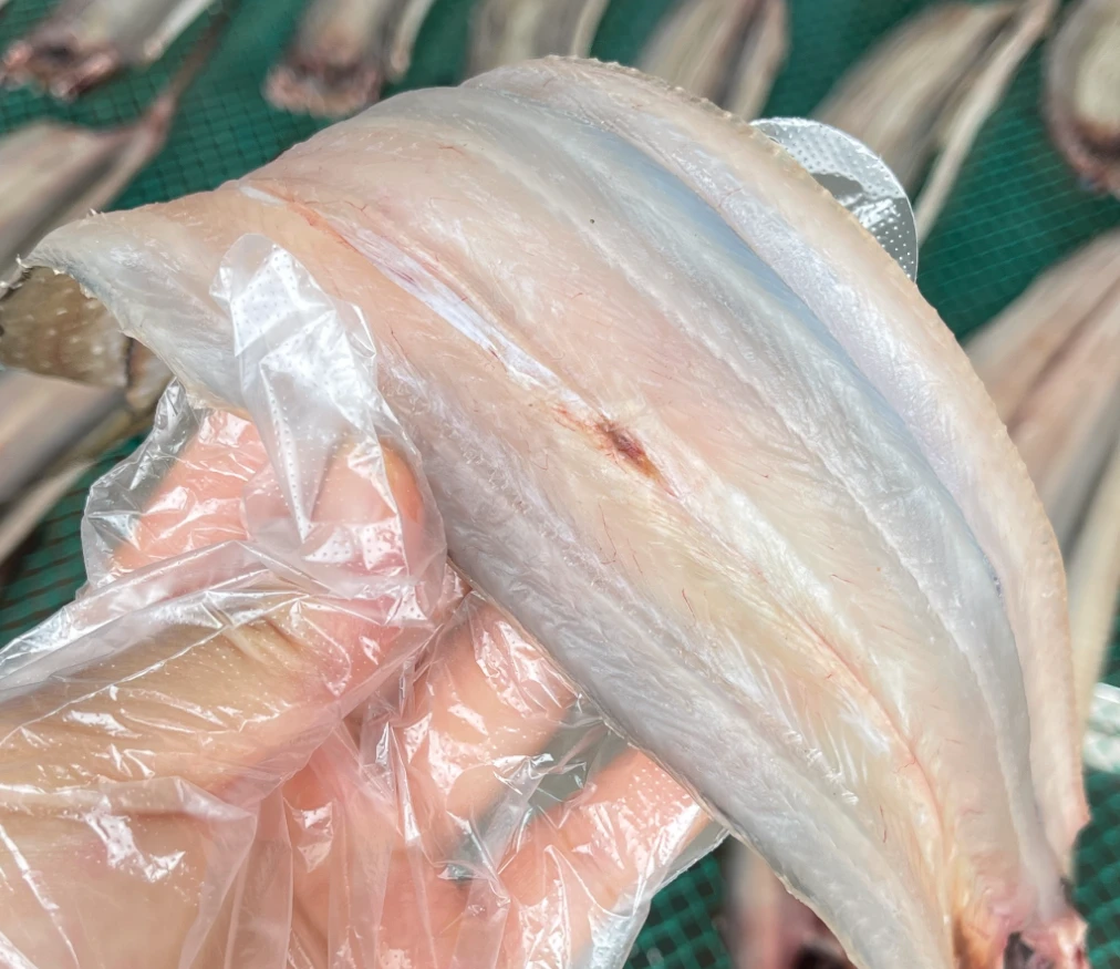 鲜晒鳗鱼三成干刚好够味