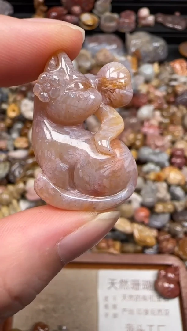 硅化珊瑚（珊瑚玉）未镶嵌颈饰139