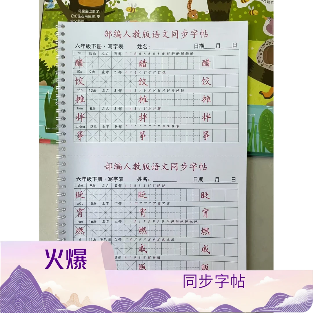 部编人教版语文同步练字帖1-6年级上下册笔顺彩印版铁圈装订