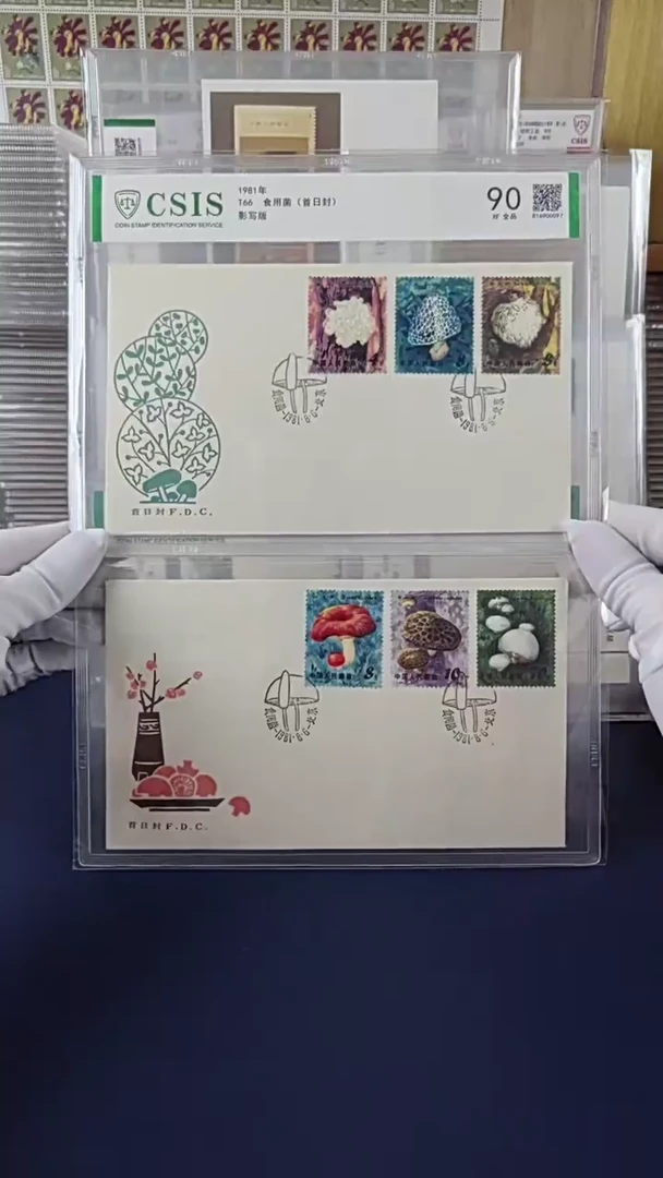 T66食用菌邮票首日封 信泰评级