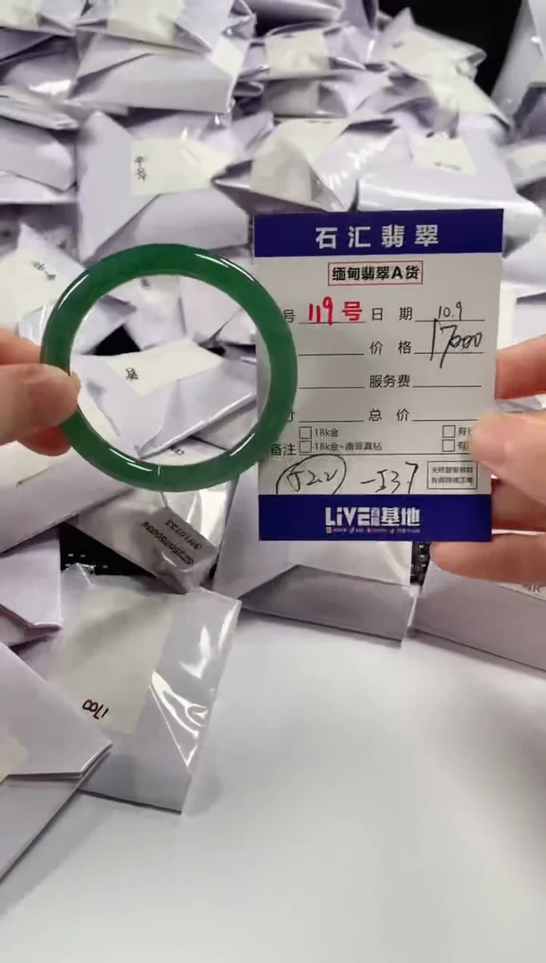 颈饰未镶嵌翡翠1