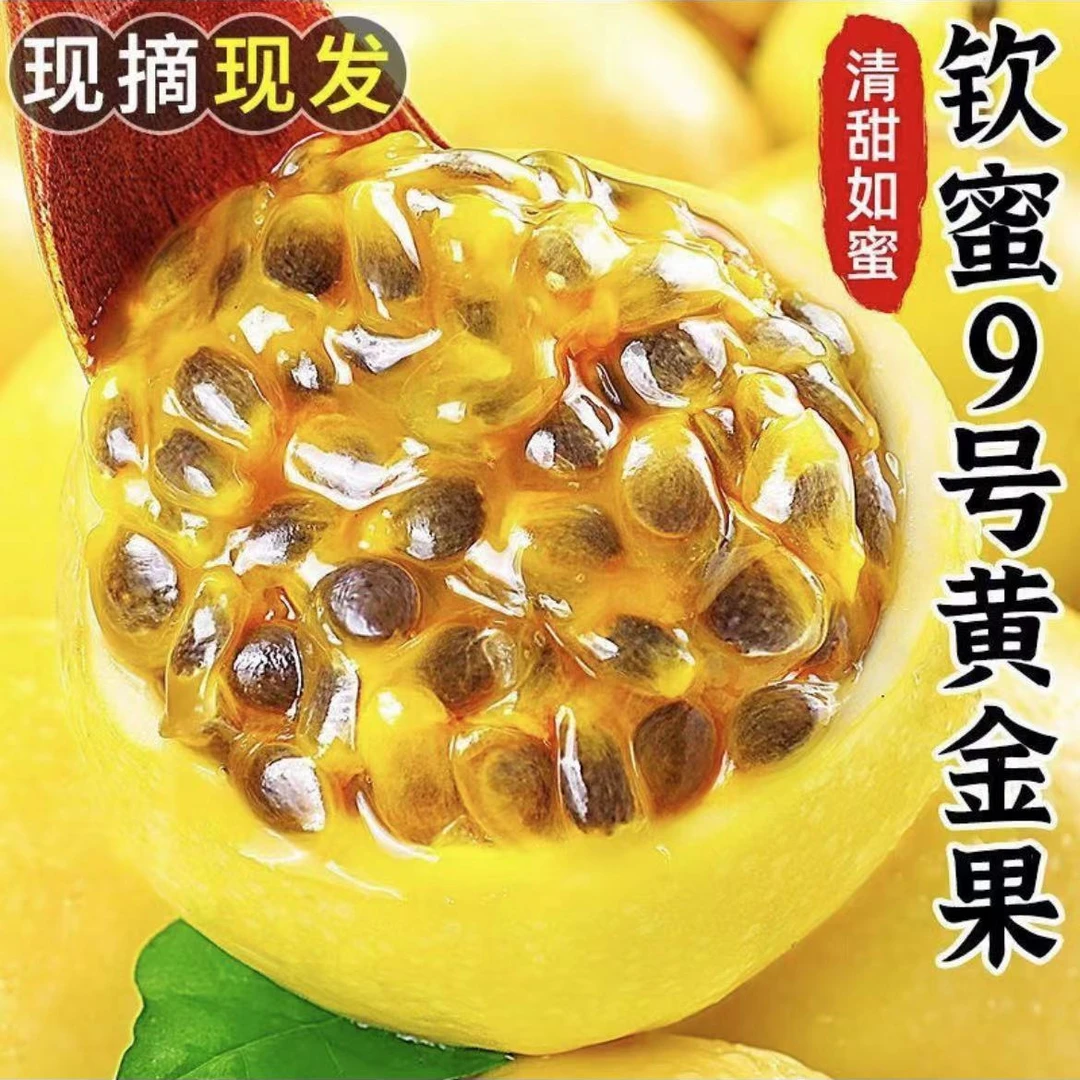 ST2正宗钦蜜九号百香果广西海南新鲜大果孕妇儿童当季水果