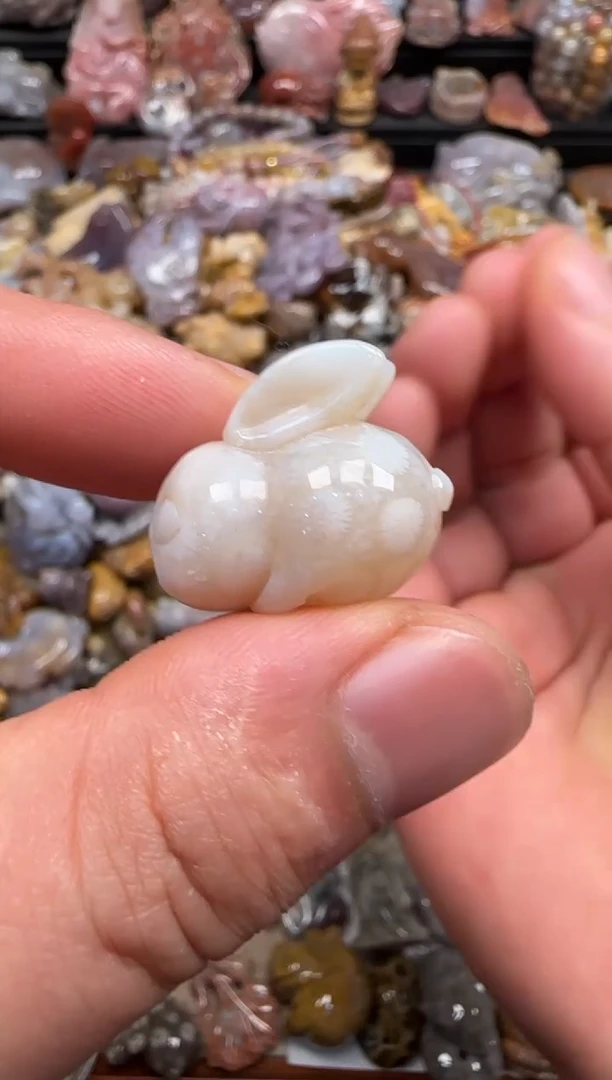 【闪购商品】硅化珊瑚（珊瑚玉）颈饰未镶嵌118