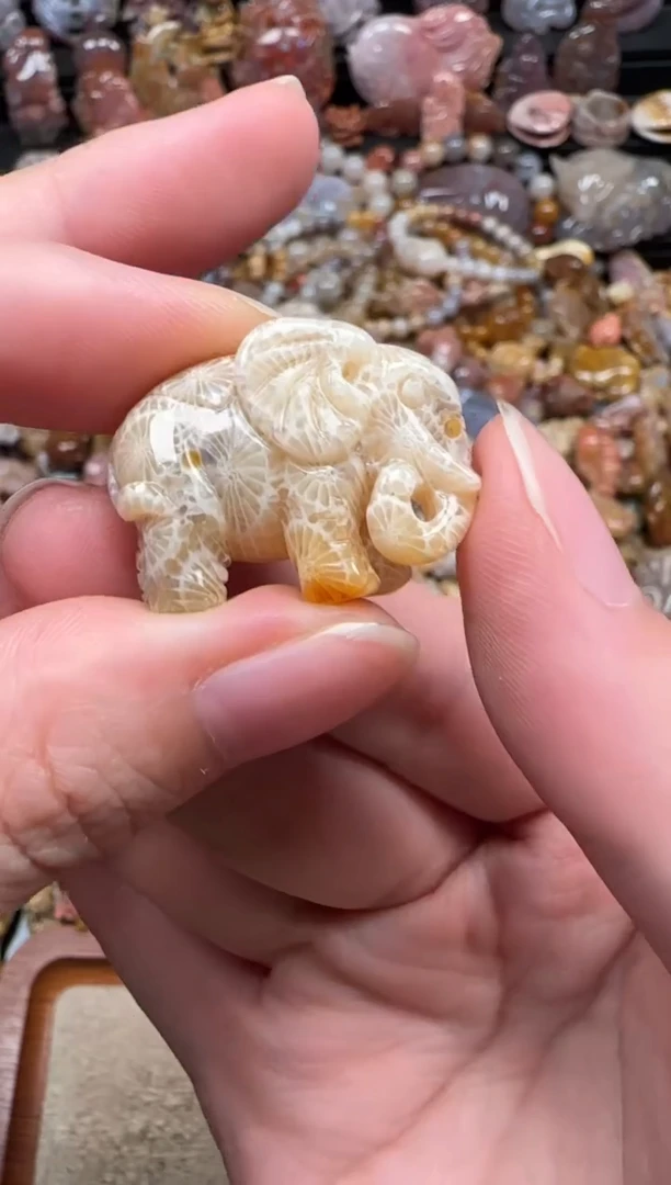 颈饰未镶嵌硅化珊瑚（珊瑚玉）210