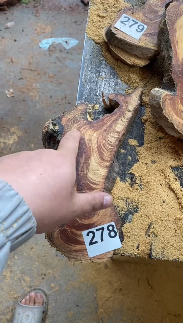 柏木（崖柏）太行山陈化崖柏一片278