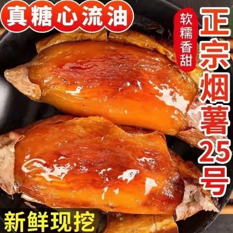 现挖山东烟薯25蜜薯糖心流油新鲜农家沙地烤地瓜山新鲜番薯芋烧烤