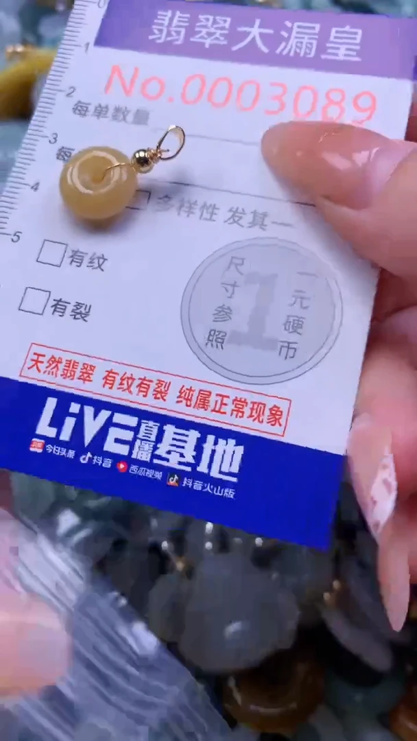 翡翠未镶嵌吊坠(不含链)3089