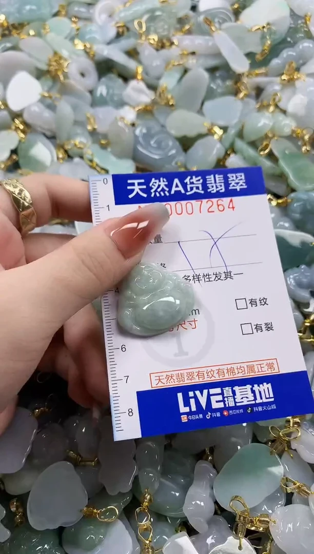 颈饰未镶嵌翡翠天然A货翡翠