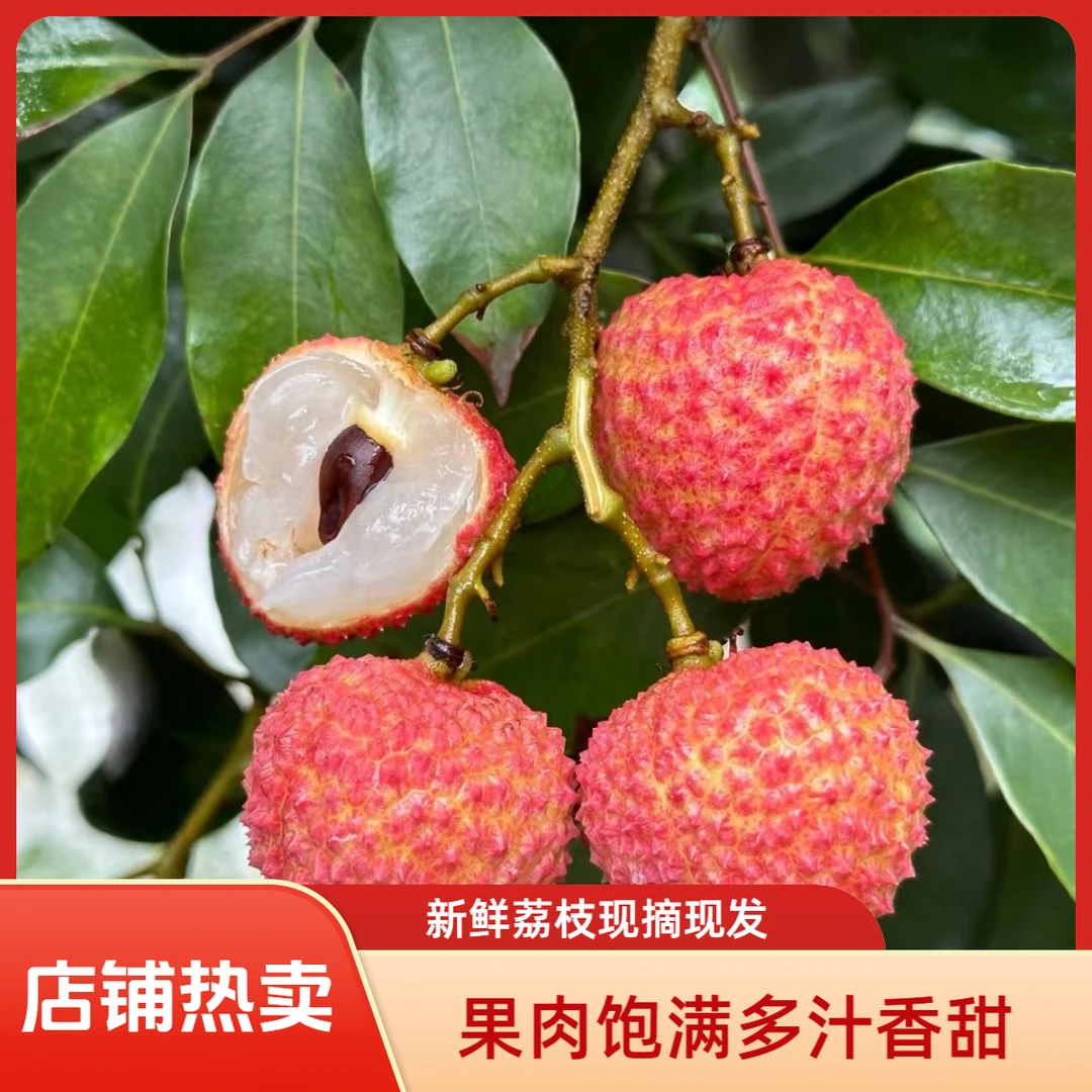 [全国包邮]  正宗合江带绿荔枝老树新鲜现摘当季水果冷链空运