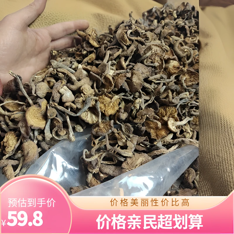 榛蘑小鸡炖蘑菇小芽小丁礼品包装鲜香嫩滑无根无杂净重发货