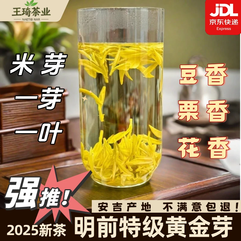 2025新茶明前(活动款)黄金芽嫩芽小芽安吉特级(H03)绿茶栗香浓香