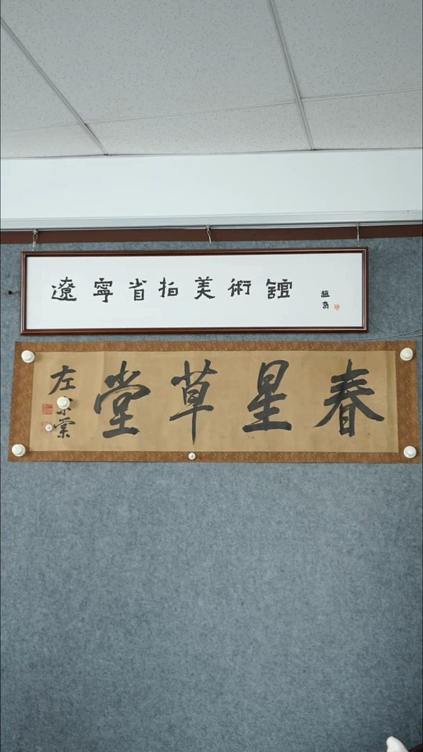 横款【辽拍】左先生-书法
