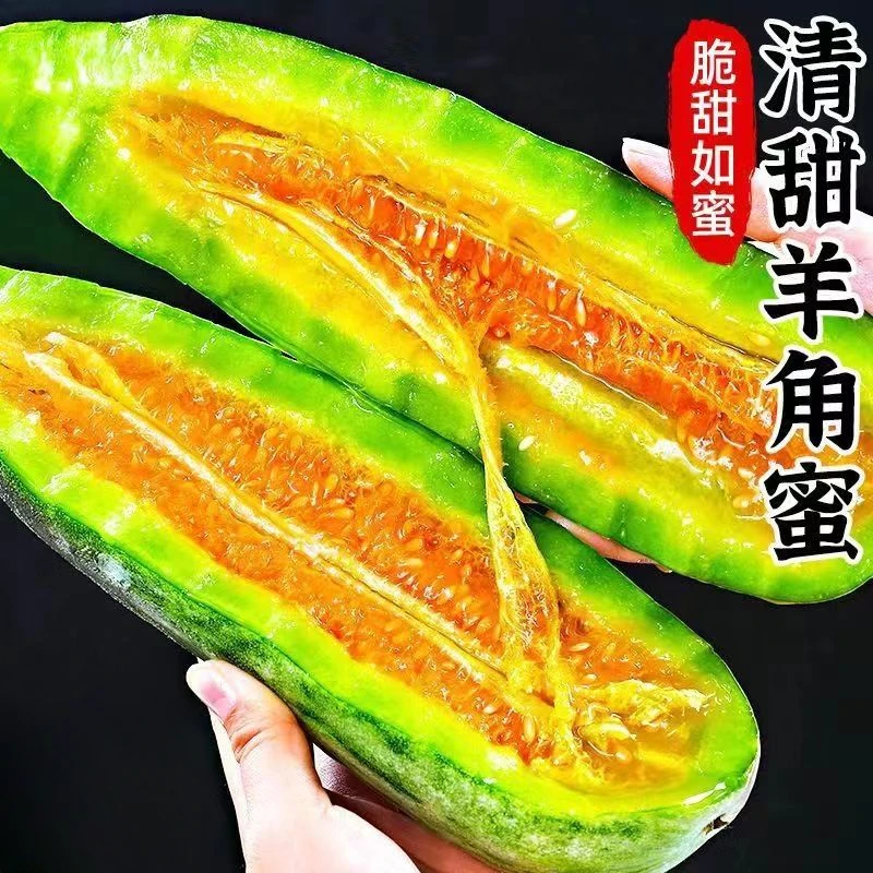 山东头茬羊角蜜甜瓜新鲜水果当季清甜香瓜脆甜多汁T-0