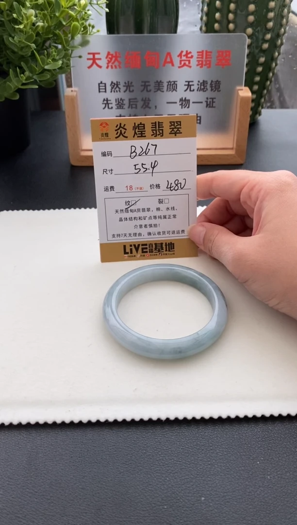 未镶嵌手镯翡翠55.7圈口 编码B267