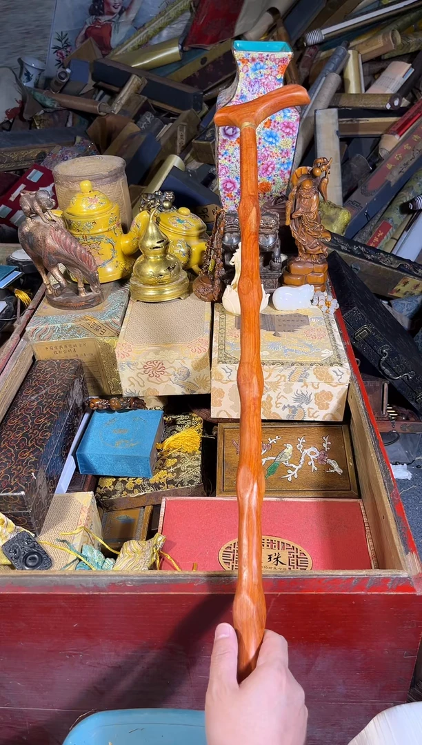 黄杨木11111111111111111111