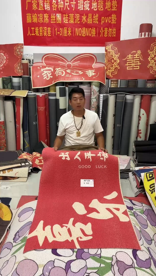 不退不换瑕疵丝圈地毯80*120cm151