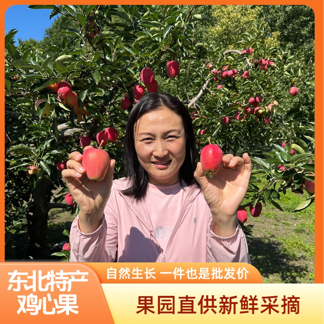东北特产2025年开园鸡心果，现摘现发脆爽爆汁果味浓郁（试吃1斤）