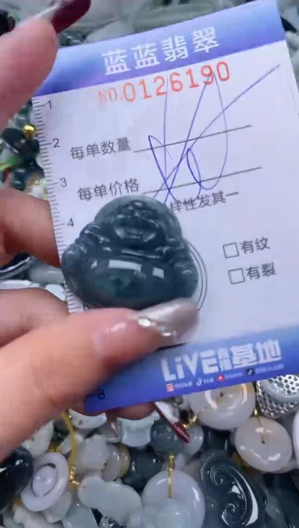 【闪购商品】翡翠颈饰未镶嵌闪购0126190多样性发其一