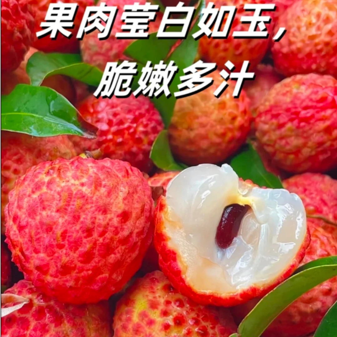 【爆甜】新鲜 薄皮桂味荔枝约4.8-5斤（带部分保鲜枝干）荔枝同城送广东省