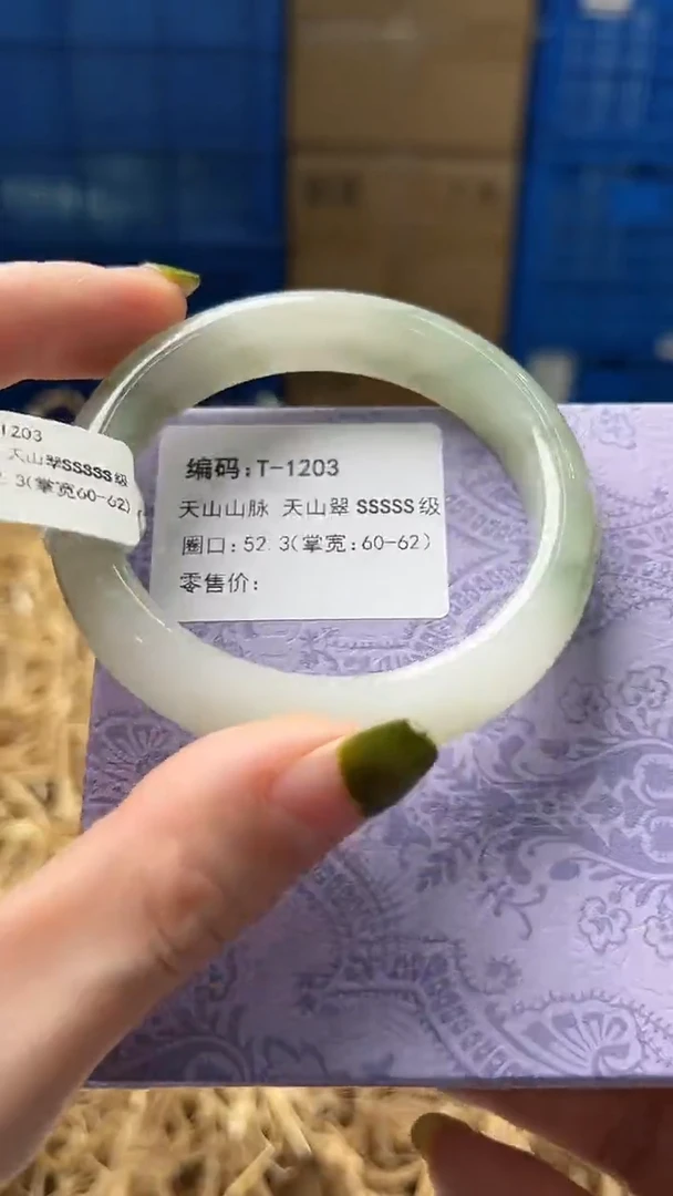 未镶嵌手镯石英质玉T1203