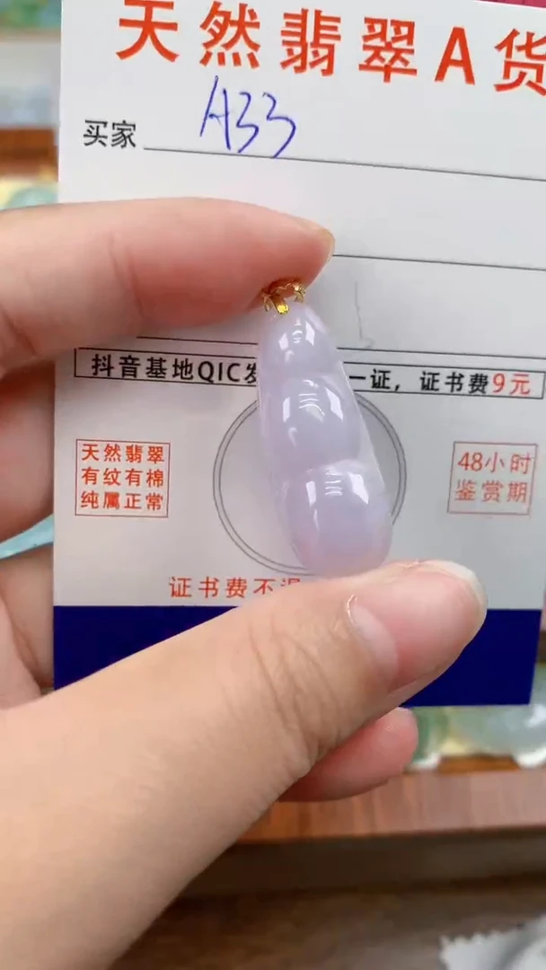 颈饰未镶嵌翡翠天然A货翡翠挂件