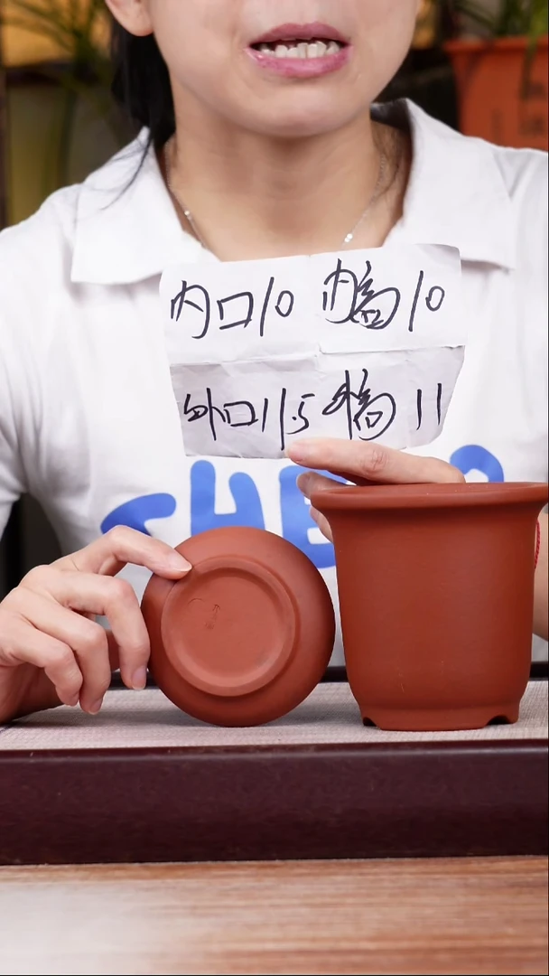 紫砂花盆新款清水泥素面迷你小金钟一只带托