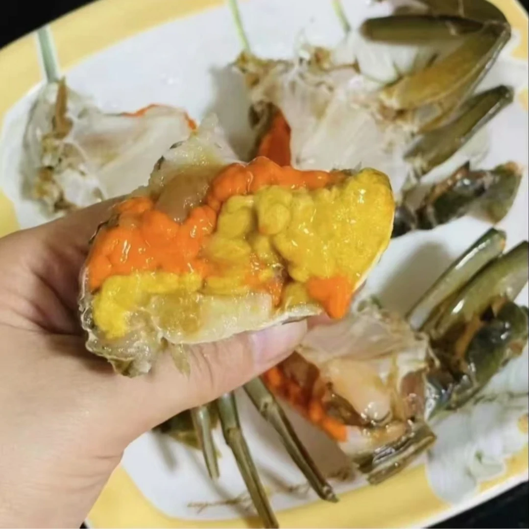 【买3只送2只】红膏蟹活发到家青蟹海鲜有黄有膏2-3两/只WW