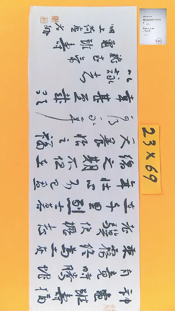 【闪购商品】书法江孝龙书法龟虽寿23*69