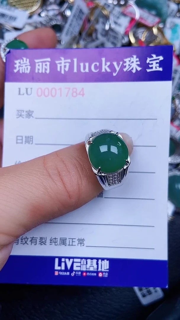 颈饰银S925镶嵌翡翠1784