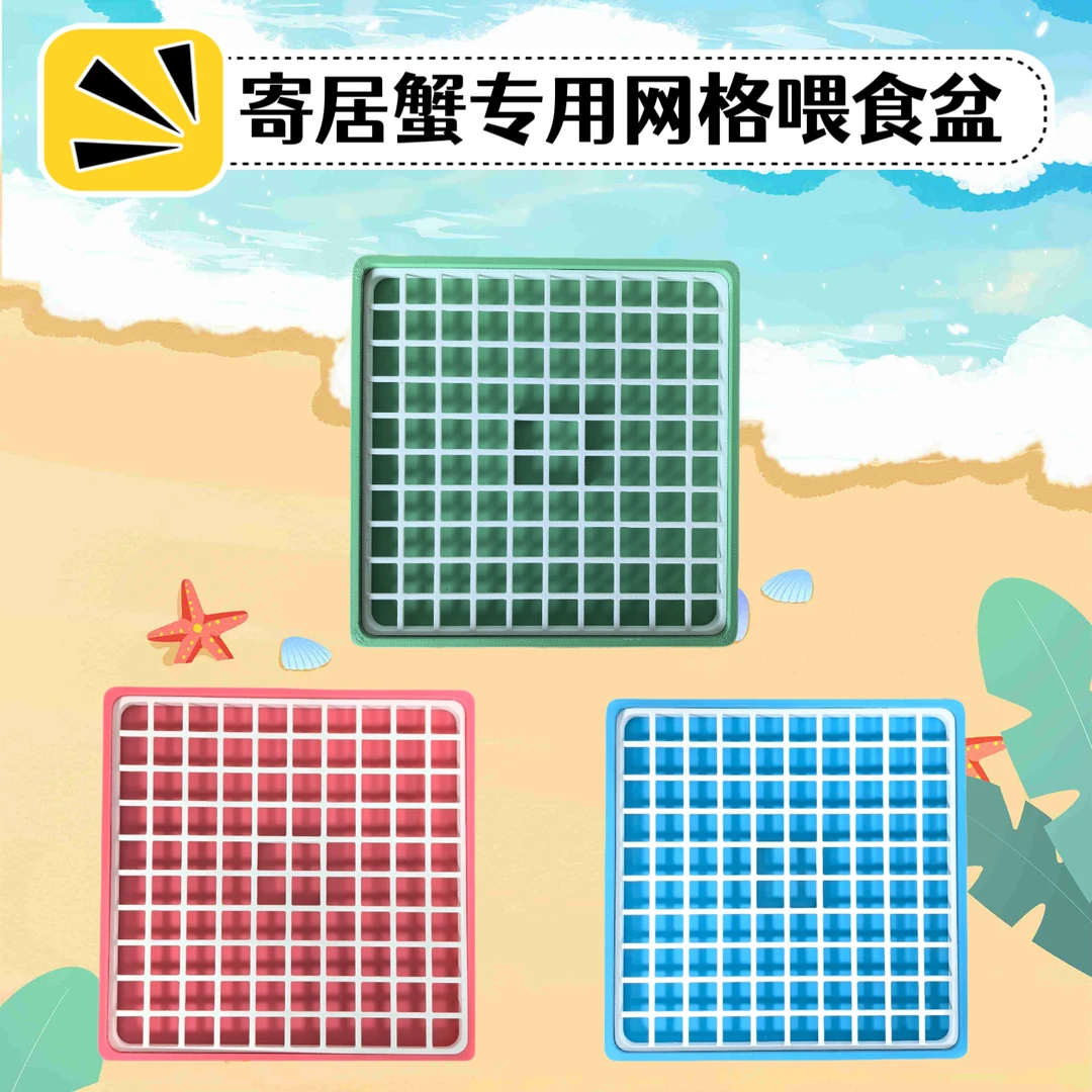寄居蟹专用网格食盆防粘防带走易清洁喂食必备