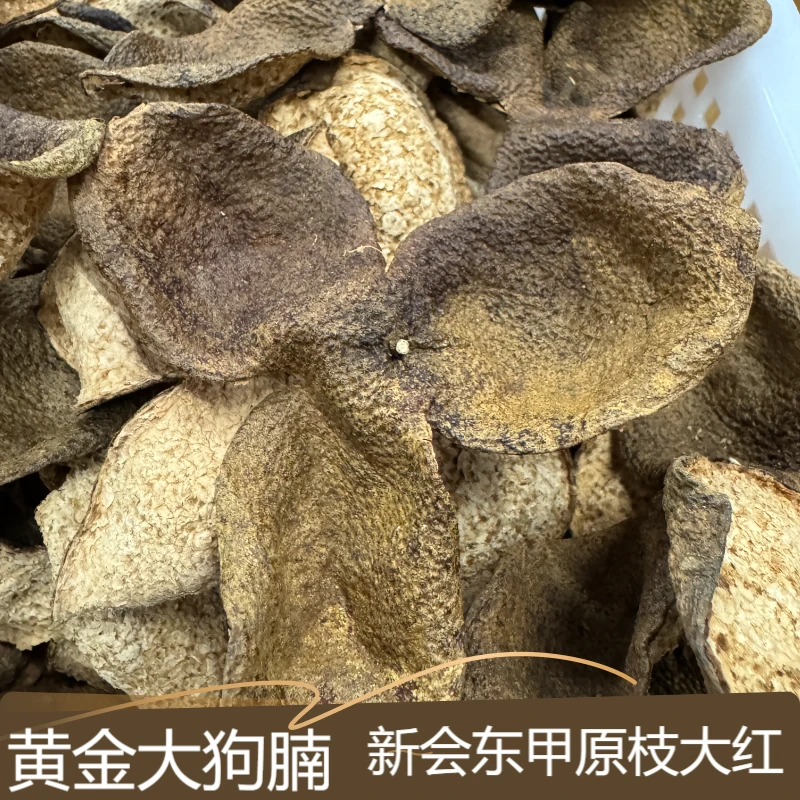 东甲原枝【黄金大狗腩】大红皮整片【纯生晒收藏级】回甘糯香核心陈皮