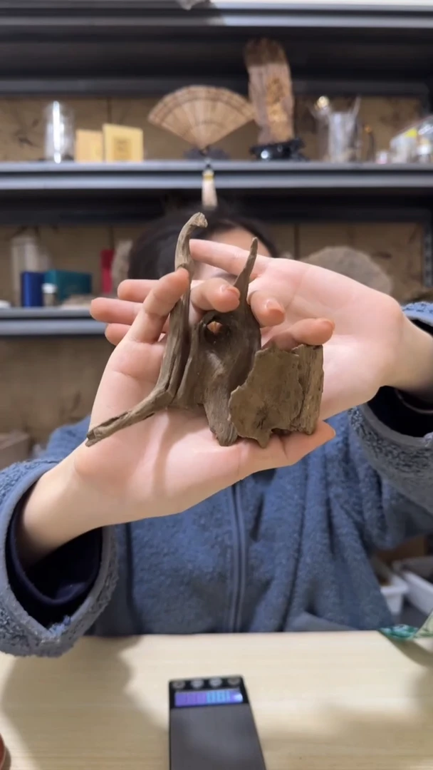 【闪购商品】沉香摆件22号芽庄土沉野料10克+