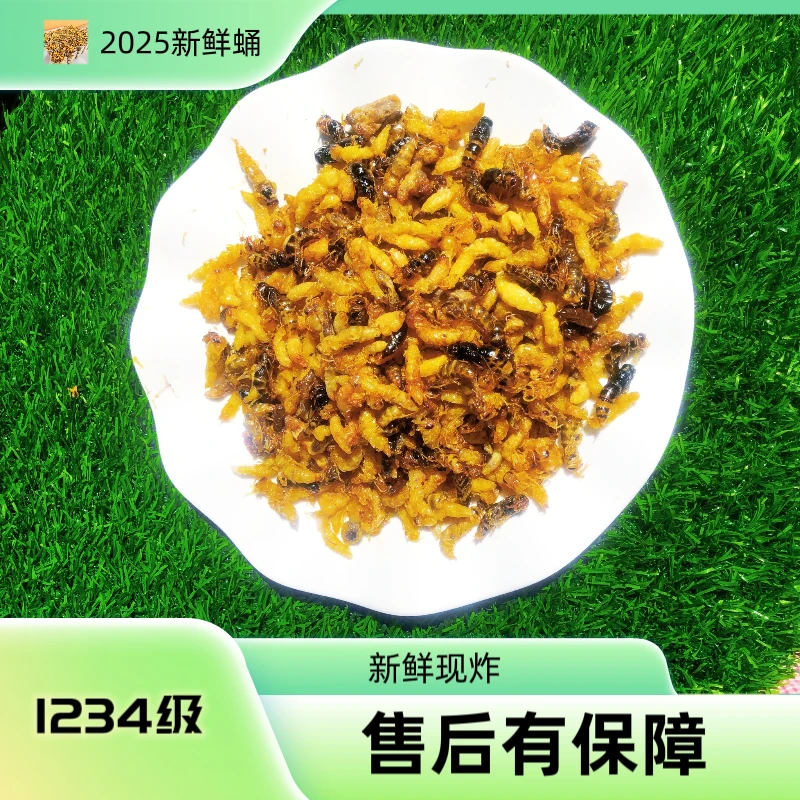 油炸蜂蛹 树蜂 黄脚蜂  原味 3级带内脏介意慎拍（树蜂去不了内脏）