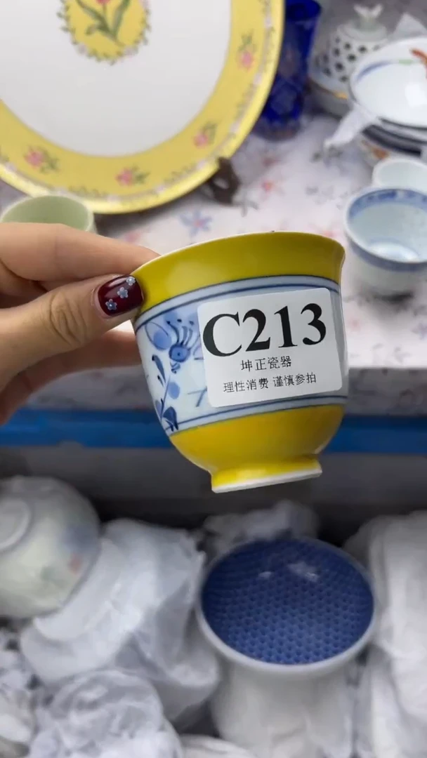 瓷片          C213