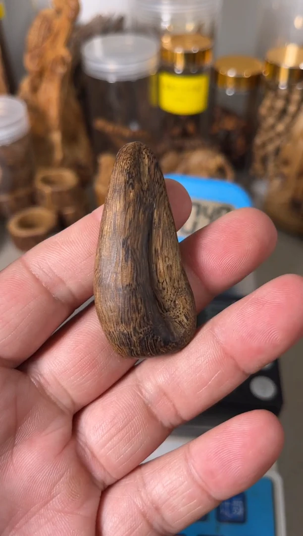 【闪购商品】沉香吊坠加里曼丹       6.7  （克）