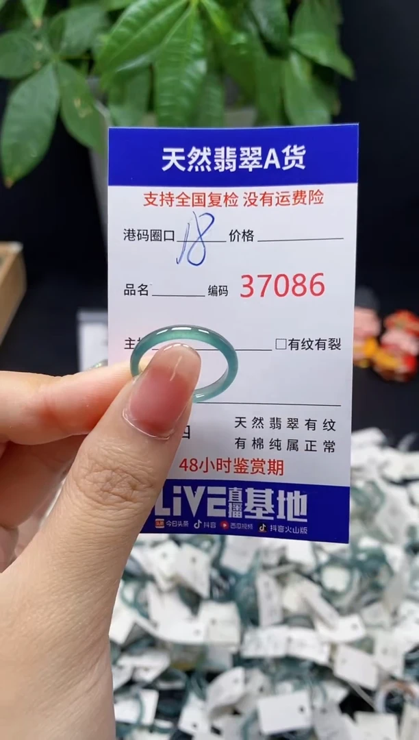 翡翠戒指未镶嵌 天然翡翠戒圈7086