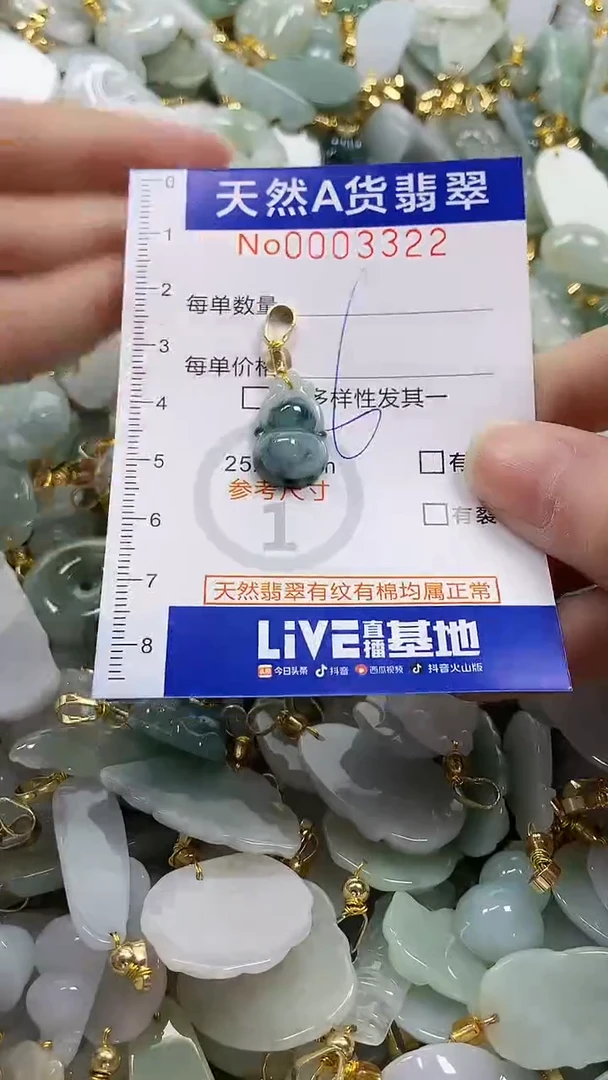 颈饰未镶嵌翡翠纯天然a货翡翠