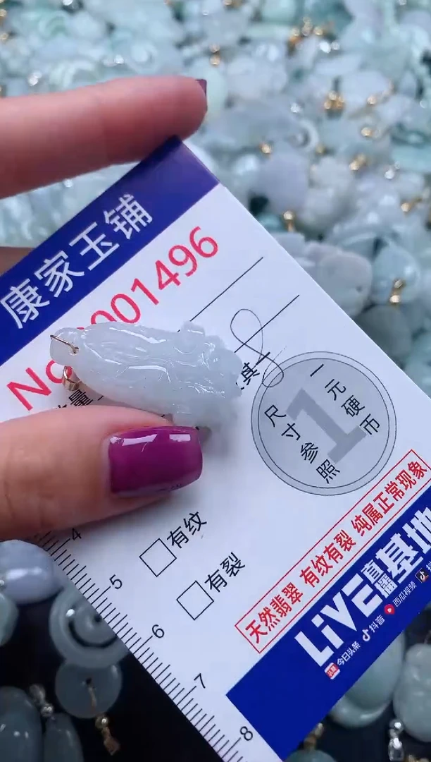 颈饰未镶嵌翡翠1496