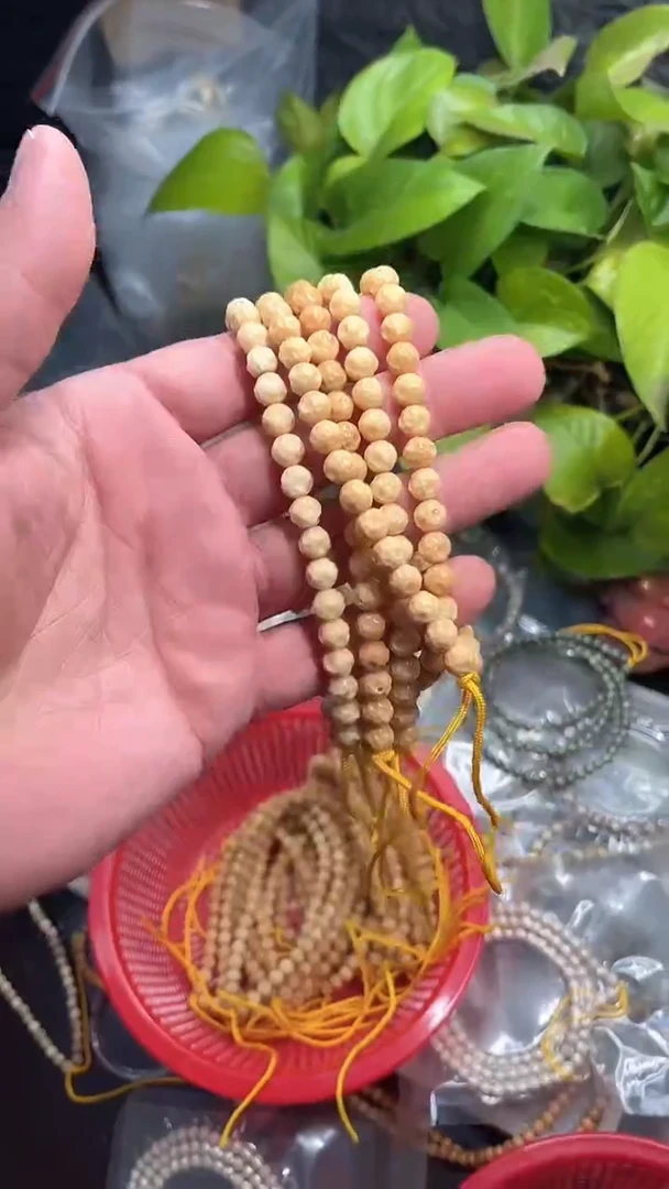 星月菩提吊坠海南星月菩提《龙脊》7X7龙脊手持