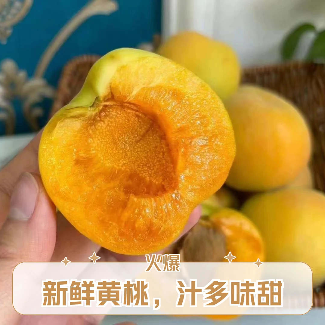 凯特杏子一份一斤左右