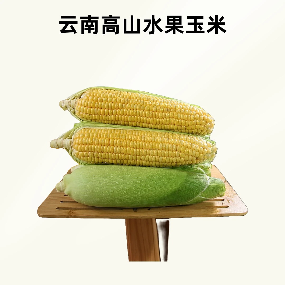 【甜糯玉米】云南高山露天种植甜糯玉米农家肥露天种植健康粗粮煲汤
