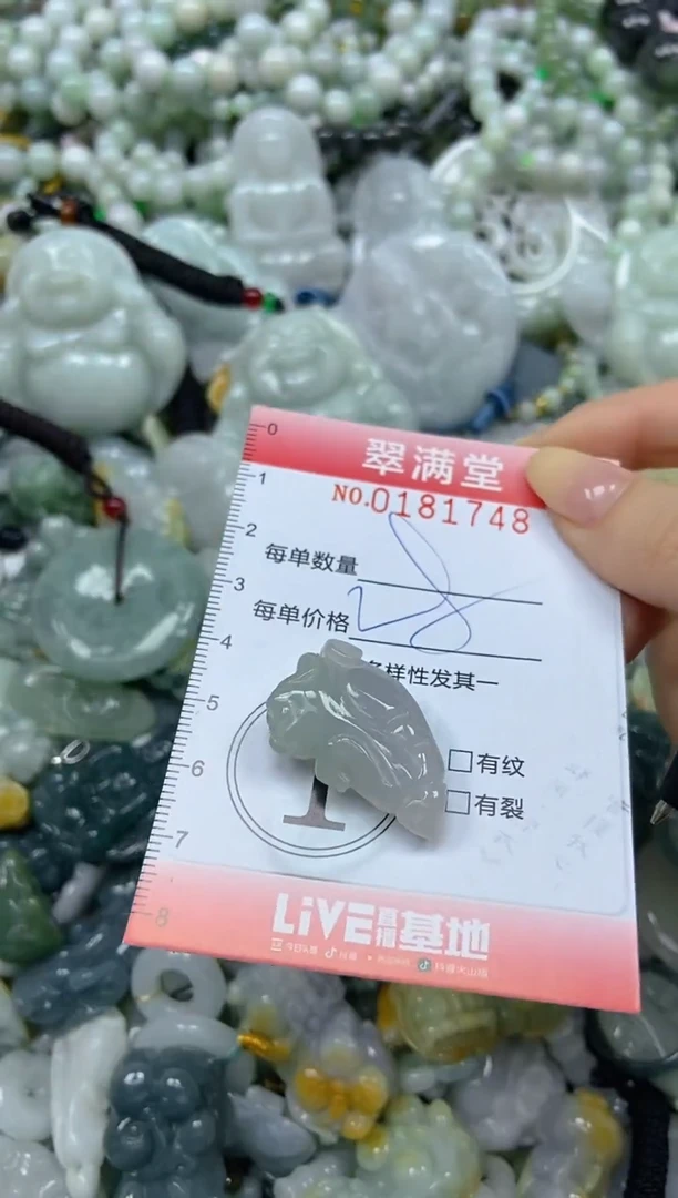颈饰未镶嵌翡翠闪购0181748