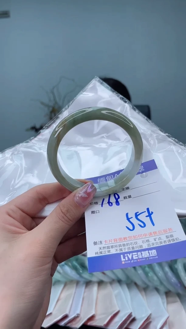 未镶嵌手镯翡翠4