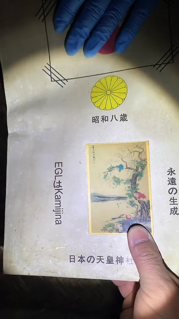 【闪购商品】贝壳手串/手链40啊啊啊啊啊啊啊啊啊啊啊啊啊