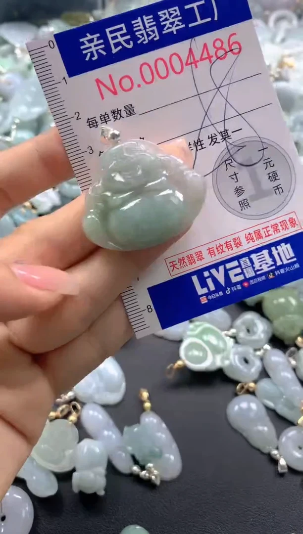 颈饰未镶嵌翡翠4486