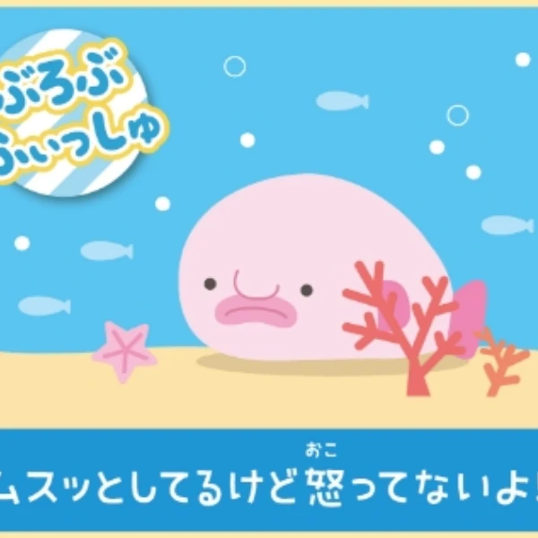 小满家日系毛绒挂件玩偶扣号D201~220