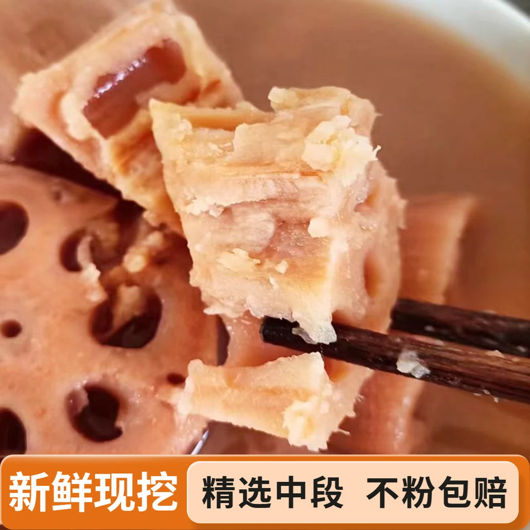 湖北粉藕九孔糯米藕煲汤现挖现发白鲢藕