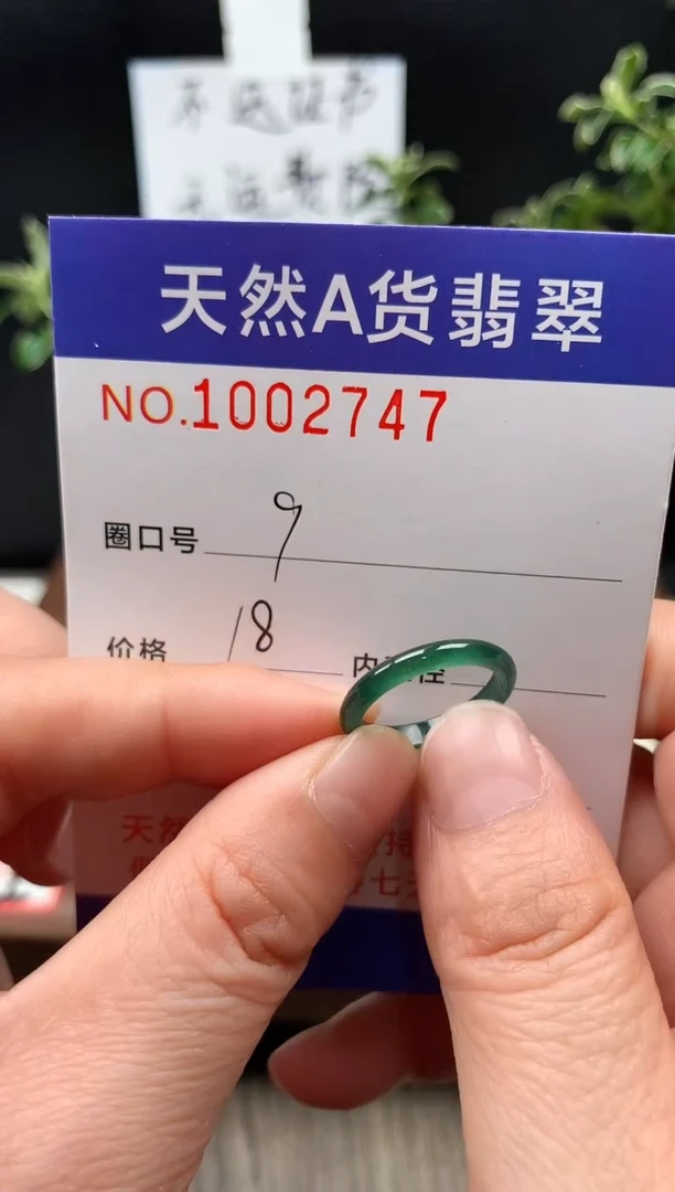 未镶嵌戒指翡翠9#