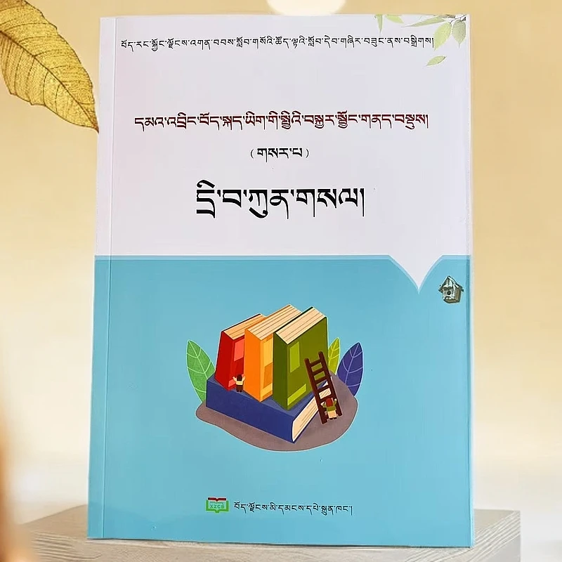 初中藏语文总复习